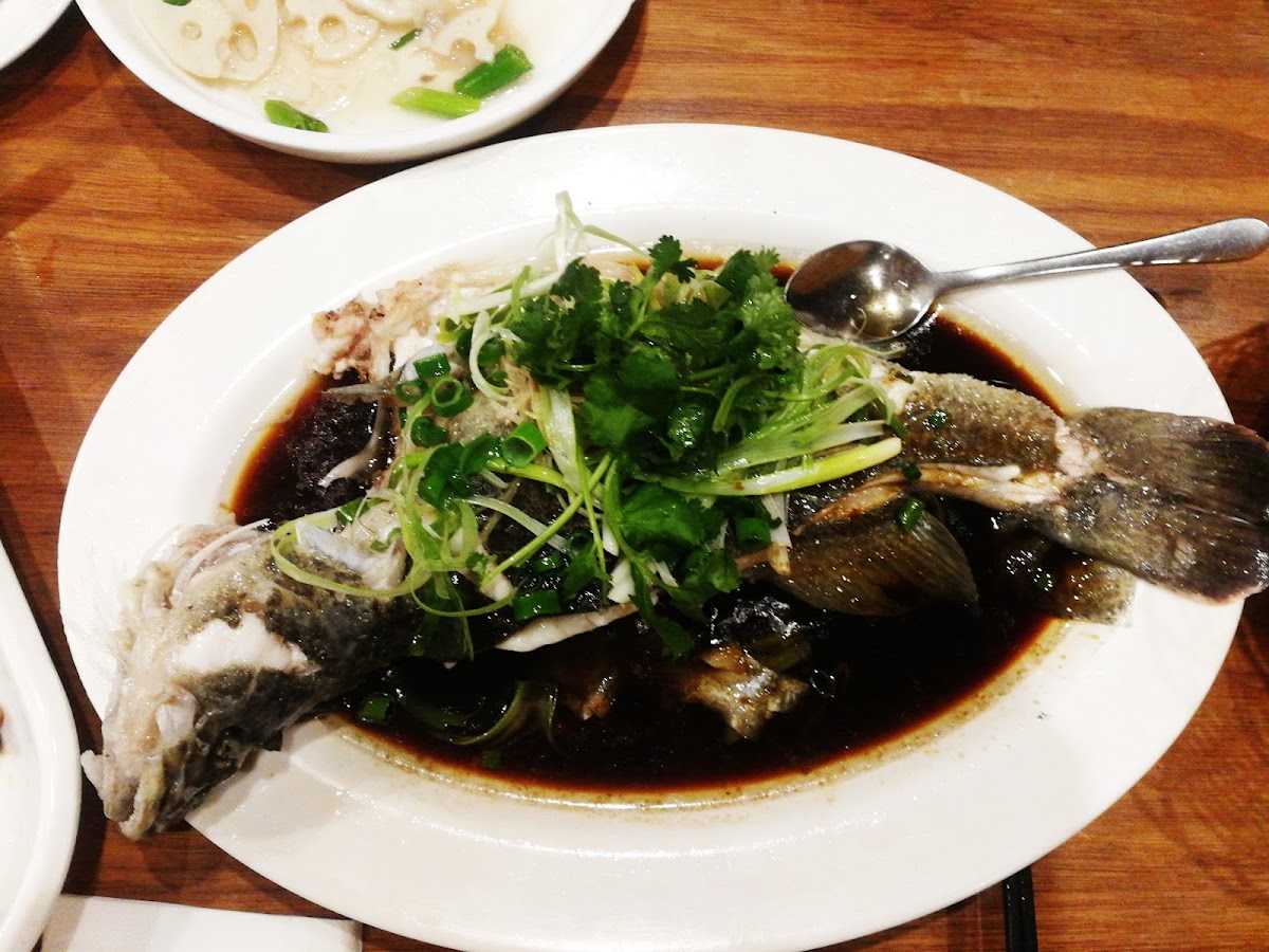 Congee, Fried Noodle